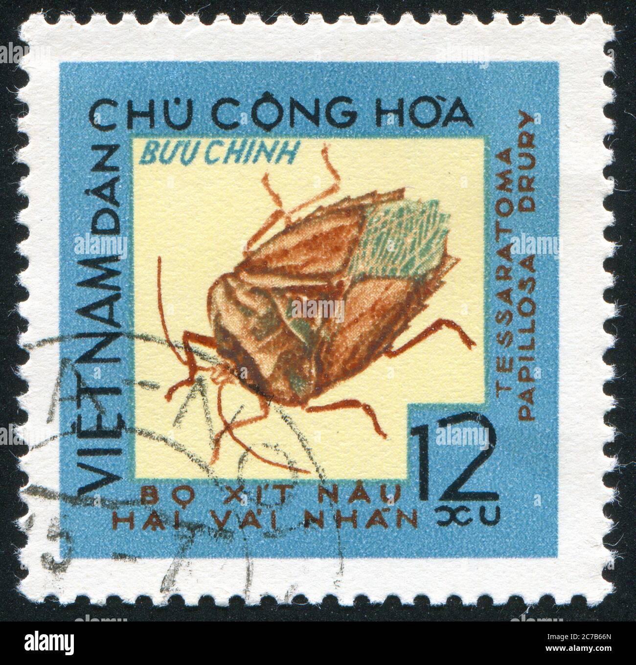 VIET NAM - CIRCA 1965: Francobollo stampato da Viet Nam, spettacoli Insect, circa 1965 Foto Stock