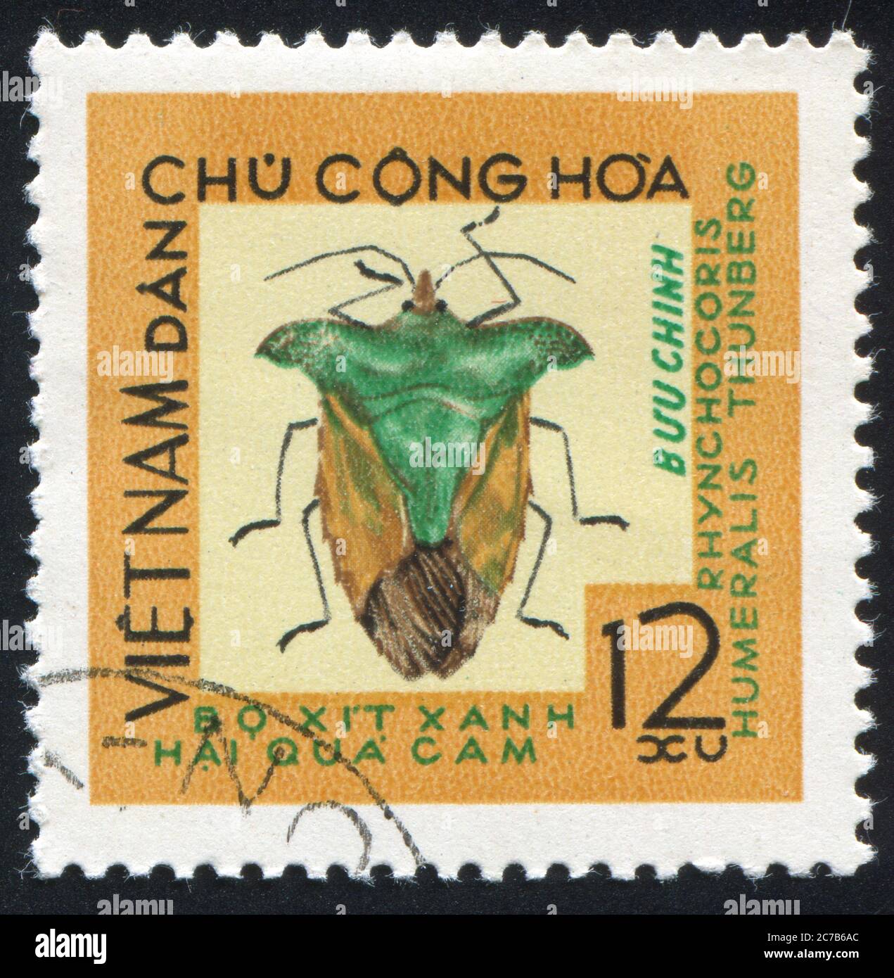 VIET NAM - CIRCA 1965: Francobollo stampato da Viet Nam, spettacoli Insect, circa 1965 Foto Stock