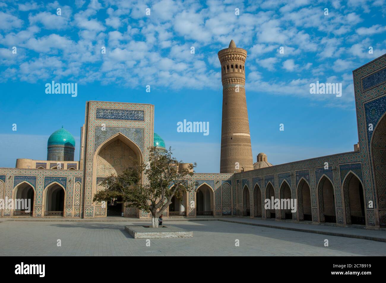 Vista dalla Moschea Kalan del Minareto Kalyan (Minareto Kalon) e la Madrasah araba Mir-i nella storica città di Bukhara, Uzbekistan. Foto Stock