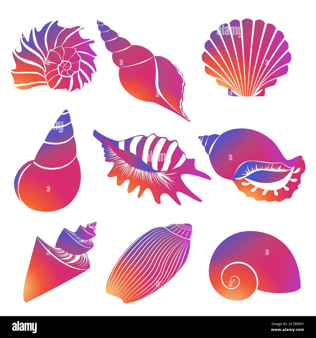 Vector fresco moderno gradiente conchiglie e sagome in mare perla isolato su sfondo bianco Illustrazione Vettoriale