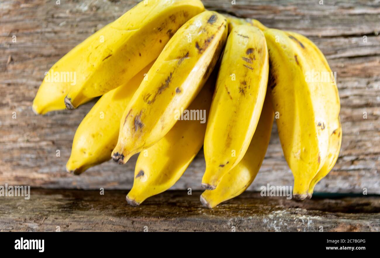 Mazzo di banane. La banana, la pacoba o la pacova è una pseudobaga della banana, una pianta erbacea perenne della famiglia delle Musaceae. Sono cresciuti i Foto Stock