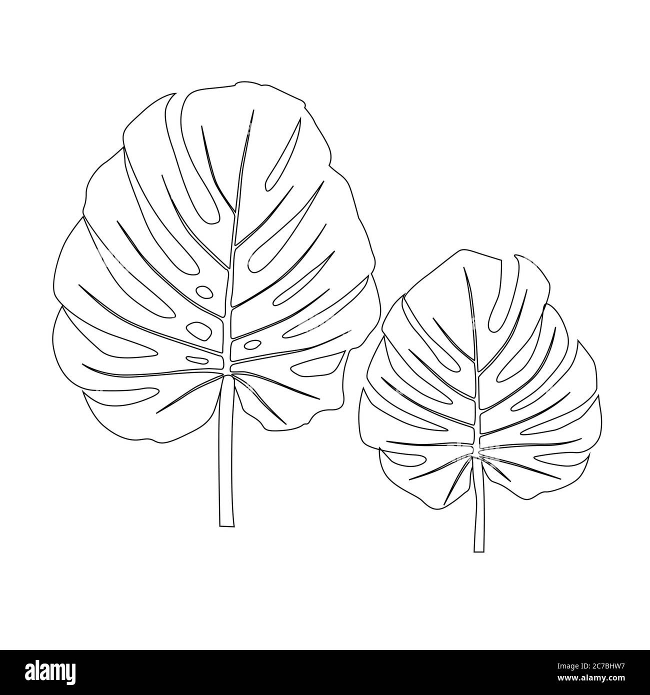 La palma di Monstera lascia una silhouette alla moda. Illustrazione vettoriale Illustrazione Vettoriale