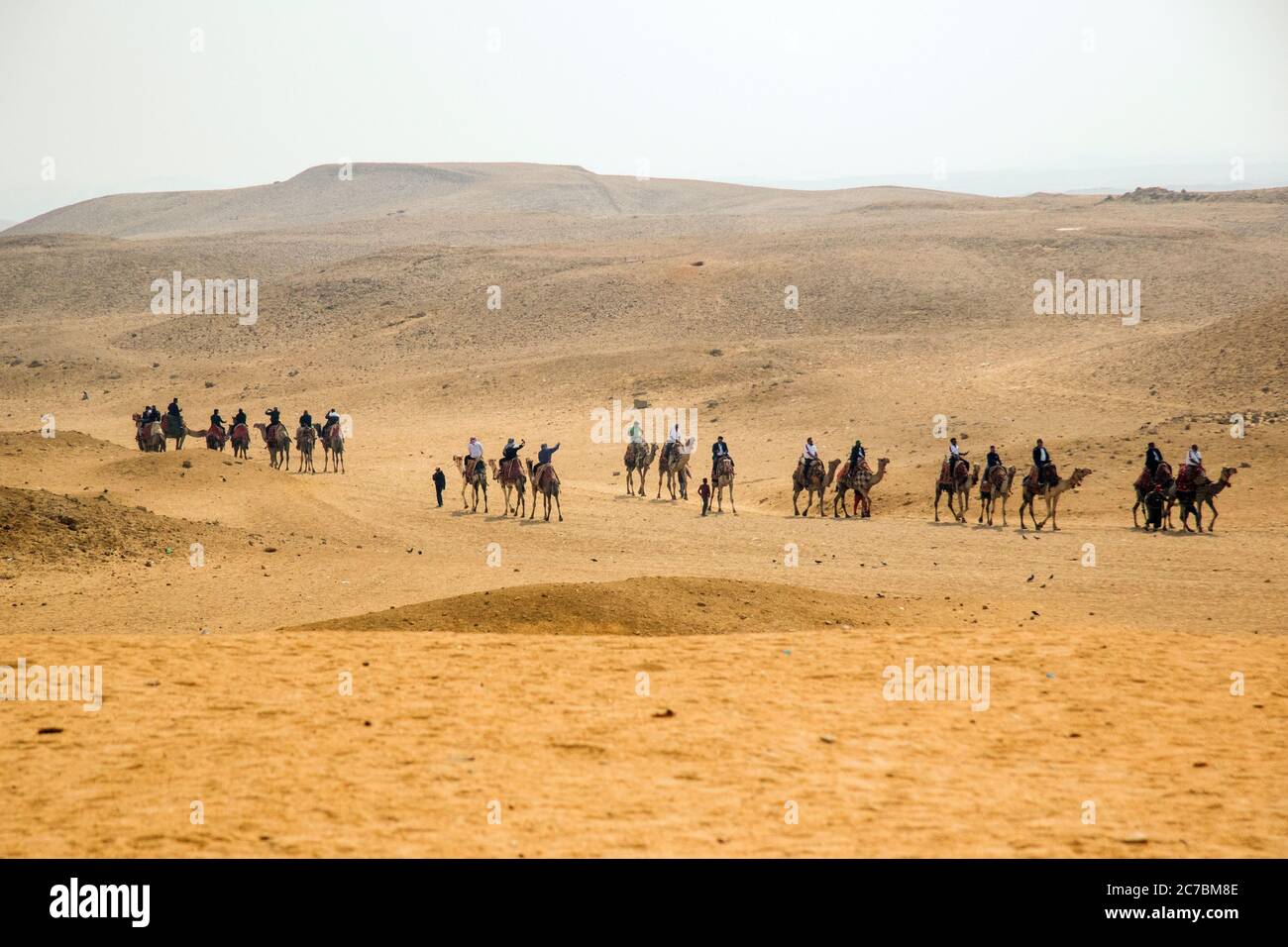 Cavalieri di cammelli alla necropoli di Giza, Egitto Foto Stock