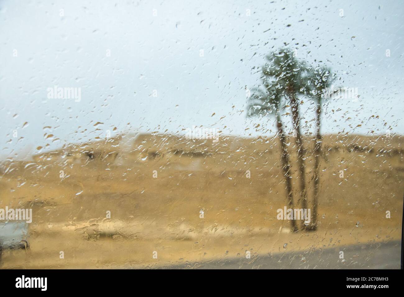 Palme e sabbia del deserto attraverso una finestra piovosa, Giza, Egitto Foto Stock
