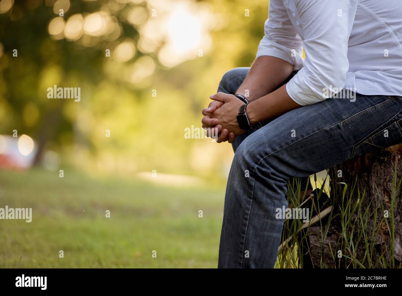 Colpo vicino di un maschio seduto su un ceppo di albero con uno sfondo sfocato Foto Stock