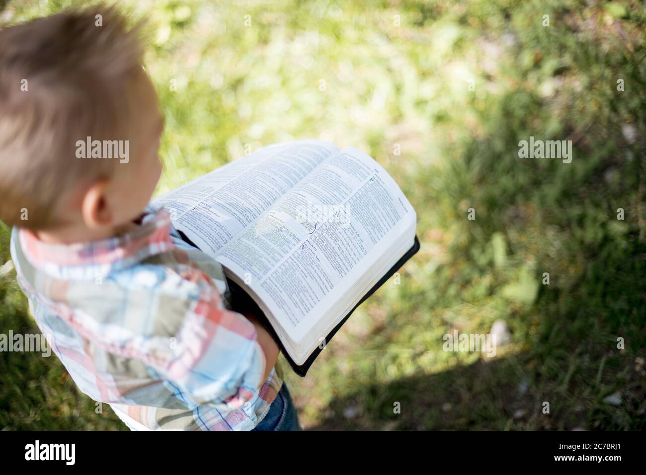 Scatto ad alto angolo di un capretto che tiene un libro grande con uno sfondo sfocato Foto Stock