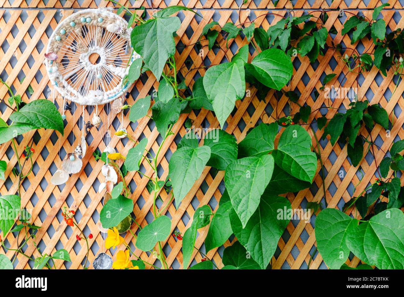 Recinzione in legno con piante rampicanti e sognatore sul balcone, veranda giardino con terrazza moderna. Foto Stock