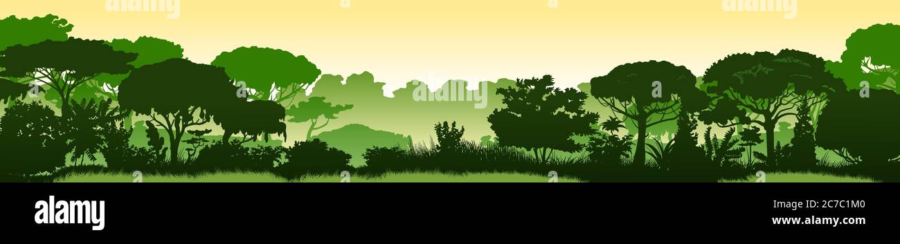 Paesaggio verde della foresta pluviale, giungla addensata. Sfondo orizzontale. Silhouette scenico. Alberi fitti, primavera lussureggiante, erba estiva. Mattina o pomeriggio Illustrazione Vettoriale