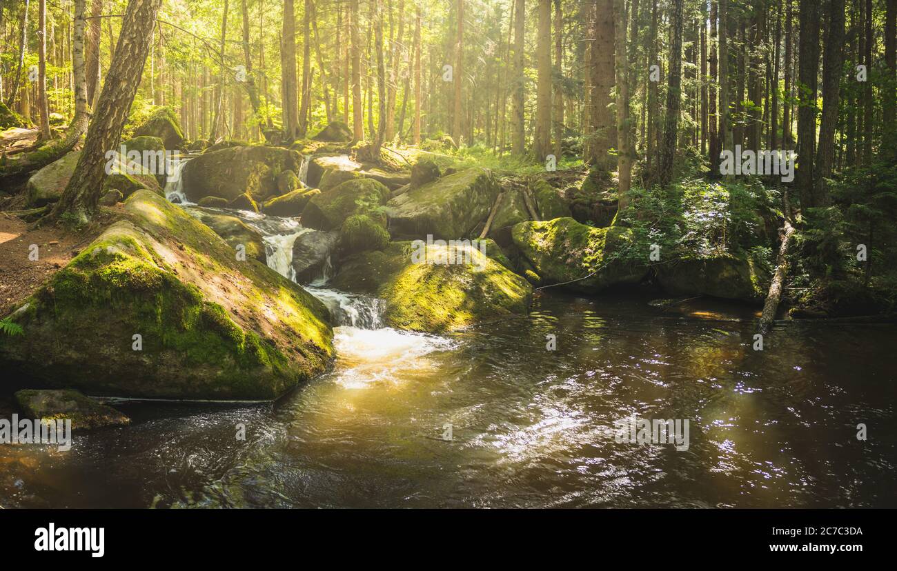 rapide sul fiume selvaggio nella foresta, cascate di St. Wolfgang, Vyssi brod, repubblica Ceca Foto Stock