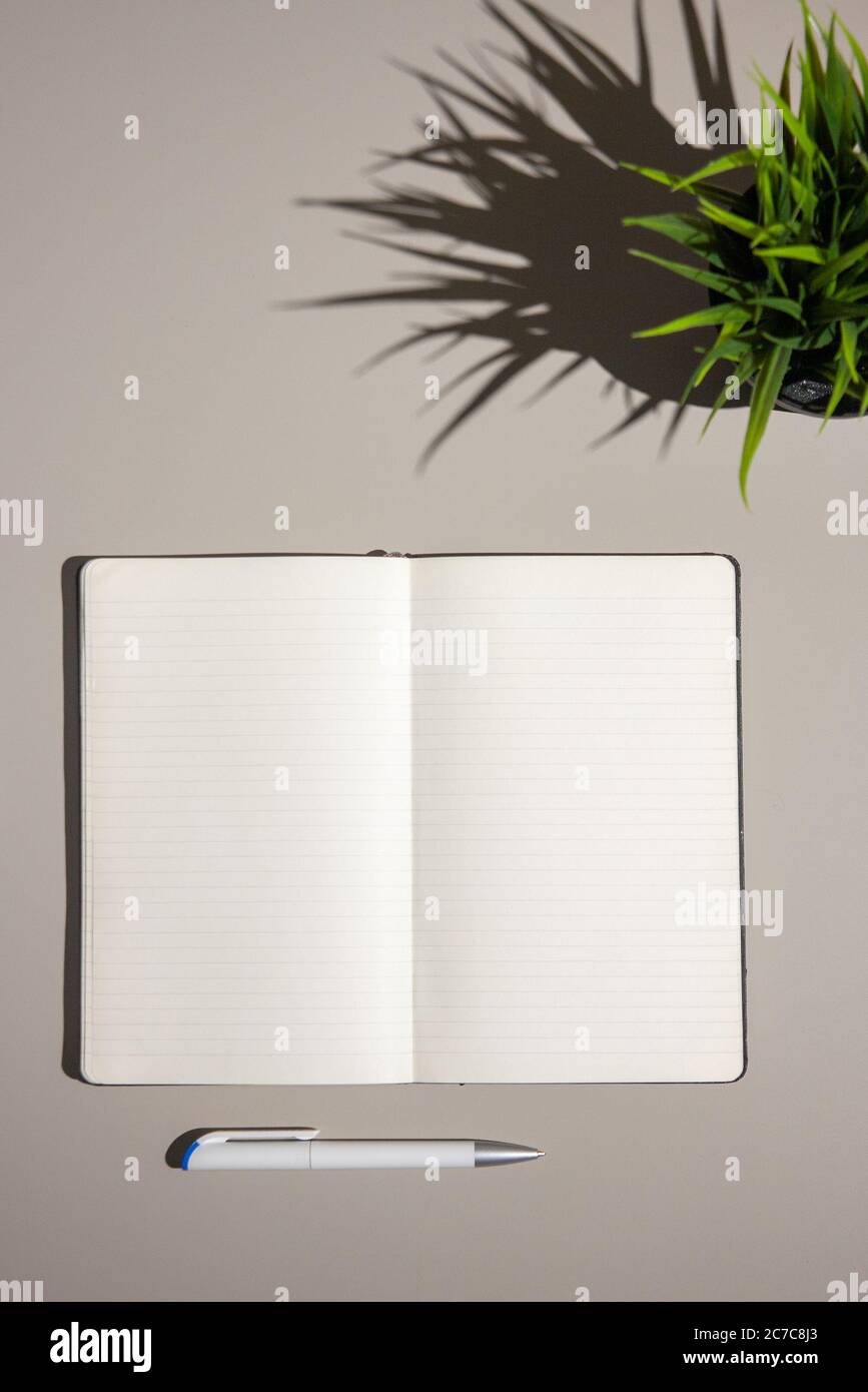 Scrivania da ufficio leggera con computer portatile e materiali di consumo con notebook vuoto. Vista dall'alto con spazio per la copia, disposizione piatta. Foto Stock