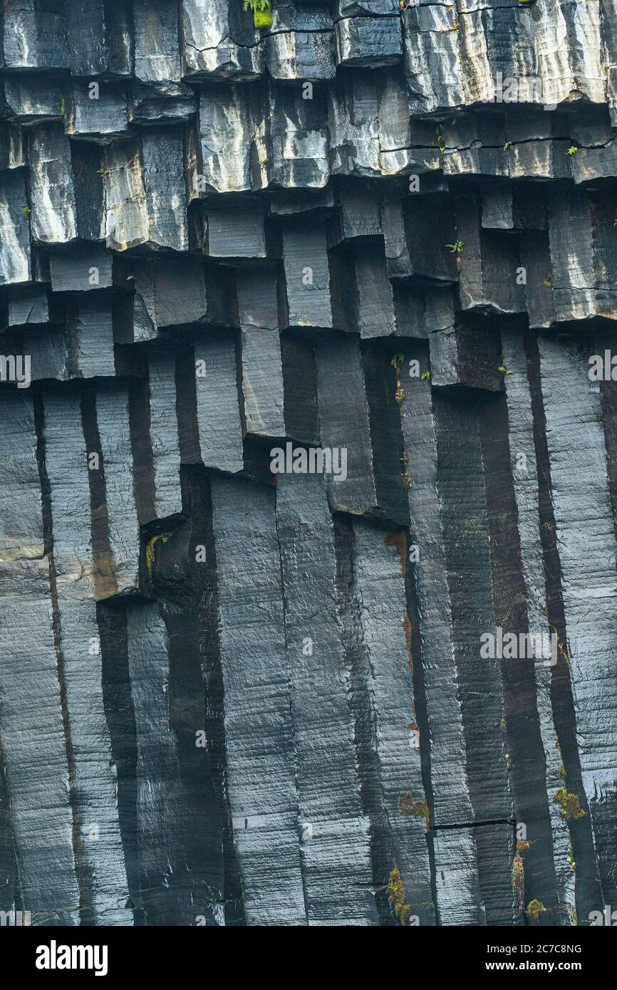 Colonne Basault alla cascata Svartifoss in Islanda Foto Stock