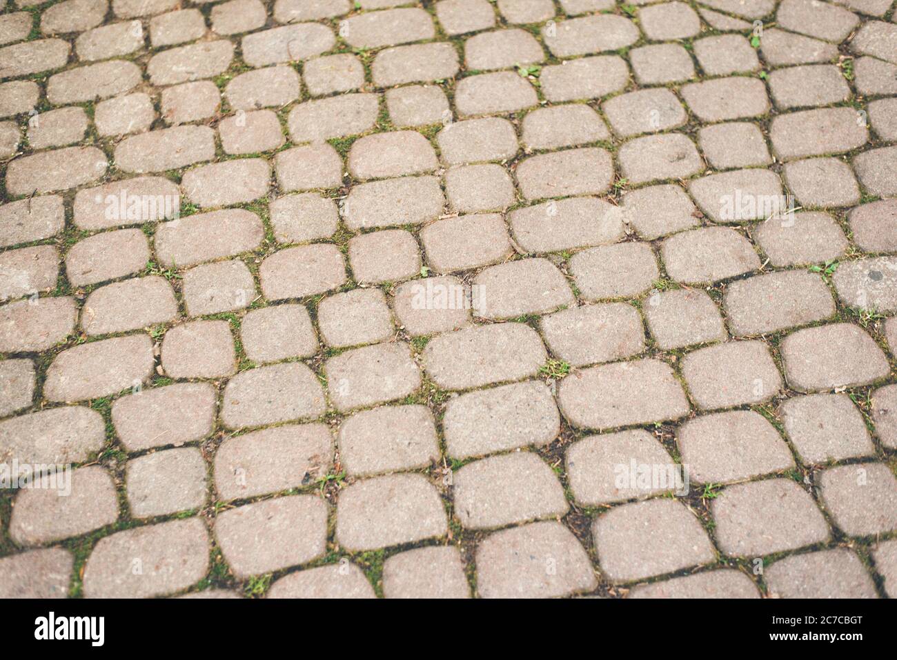 Pavimentazione in ciottoli ovali. Sfondi e trame. Foto Stock