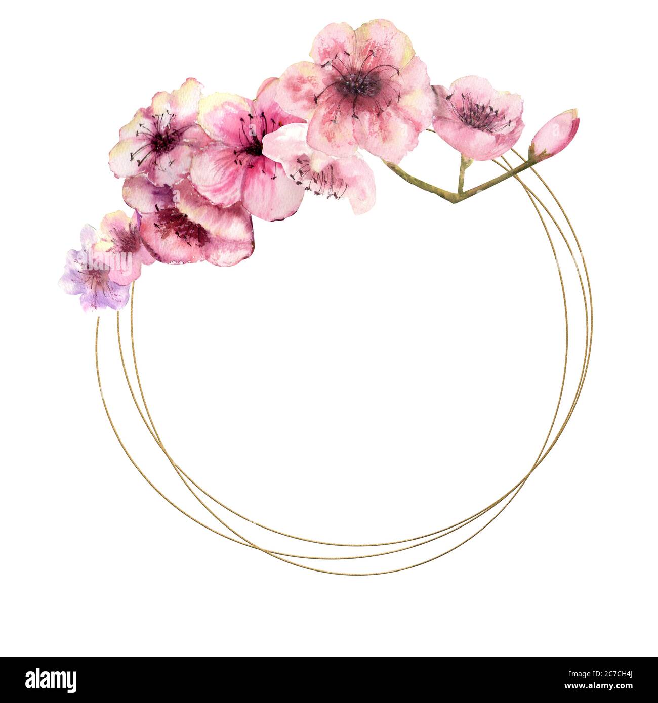 Fioritura dei ciliegi, Sakura Branch con fiori rosa su cornice oro e sfondo bianco isolato. Immagine della molla. Telaio. Illustrazione acquerello. Design Foto Stock