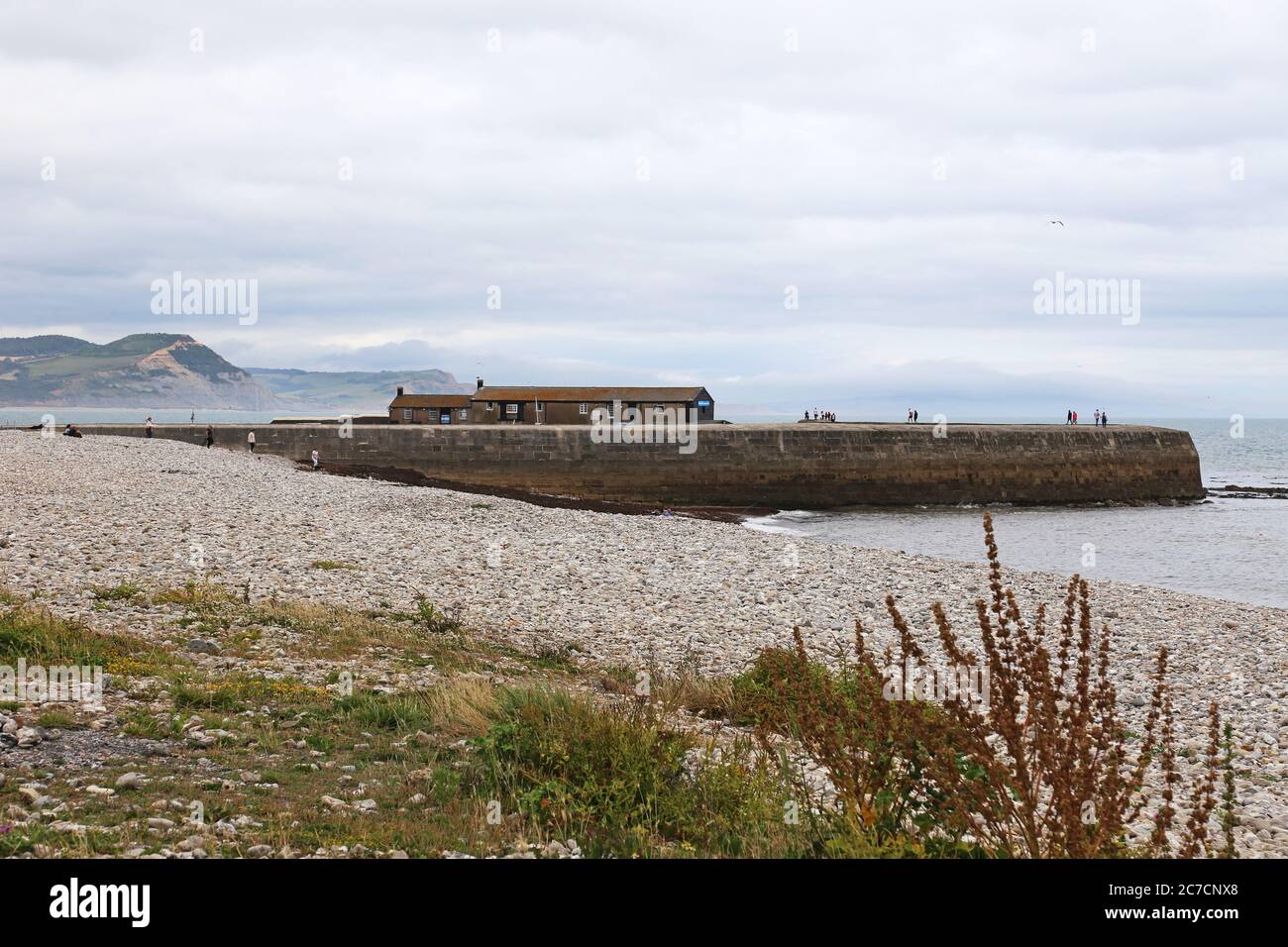 Il Cobb, con Golden Cap Beyond, Monmouth Beach, Lyme Regis, Dorset, Inghilterra, Gran Bretagna, Regno Unito, Regno Unito, Europa Foto Stock