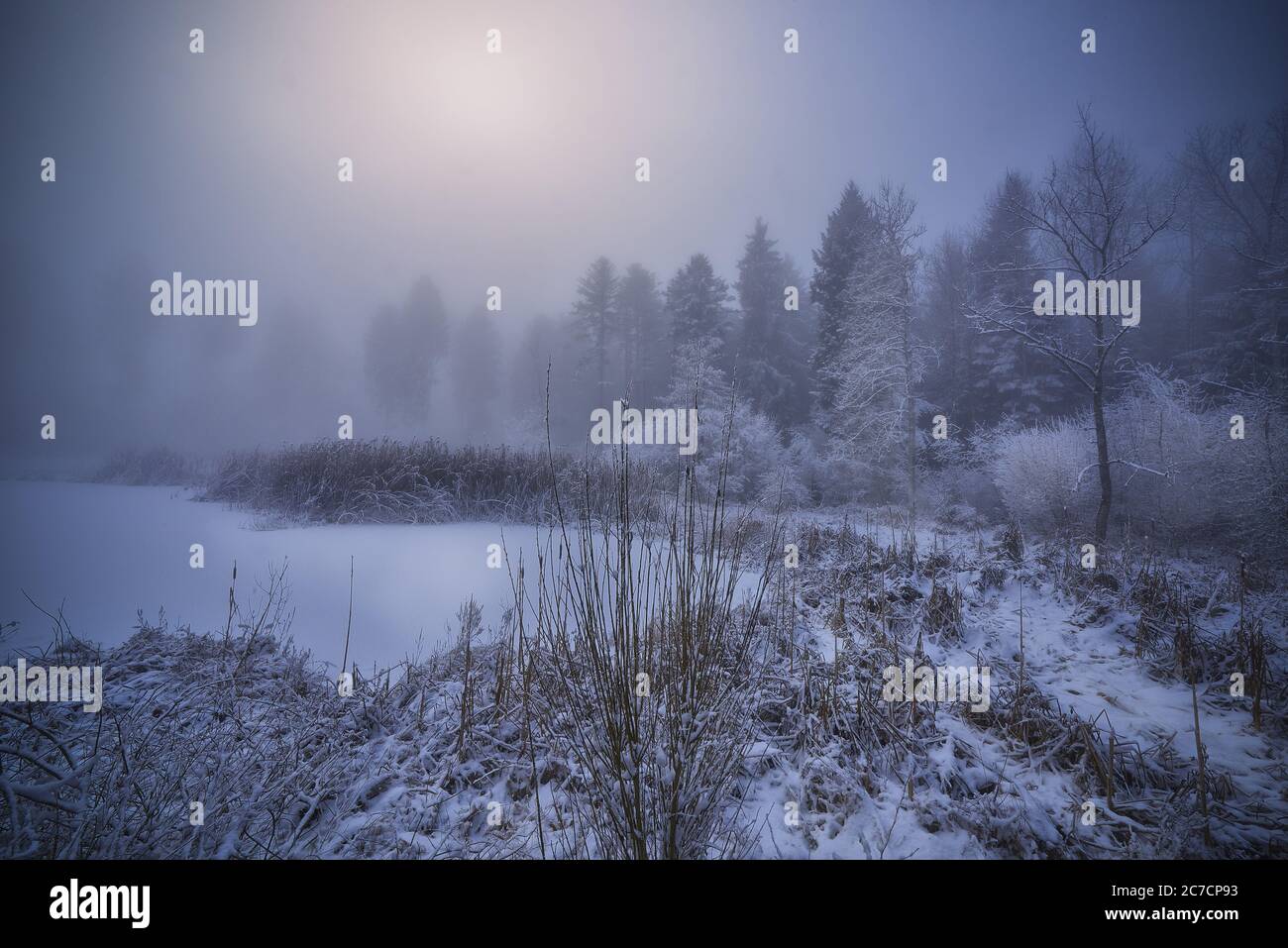 Bellissimo scatto di un laghetto congelato vicino a riva nevosa con alberi e uno sfondo foggoso Foto Stock