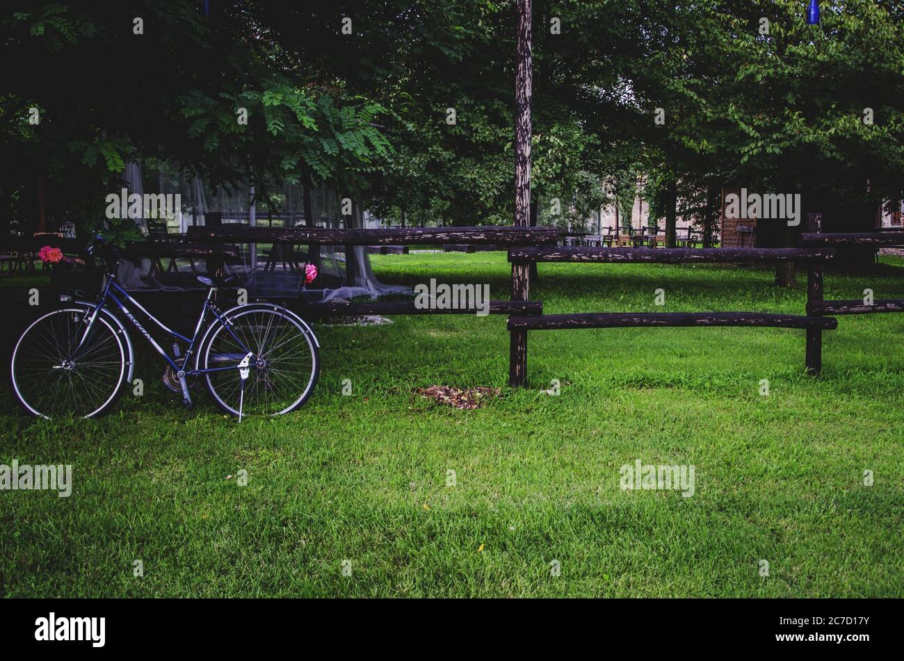 Ampio shot di una bicicletta con cesto decorato vicino a. recinzione di legno in un campo di erba verde con alberi Foto Stock