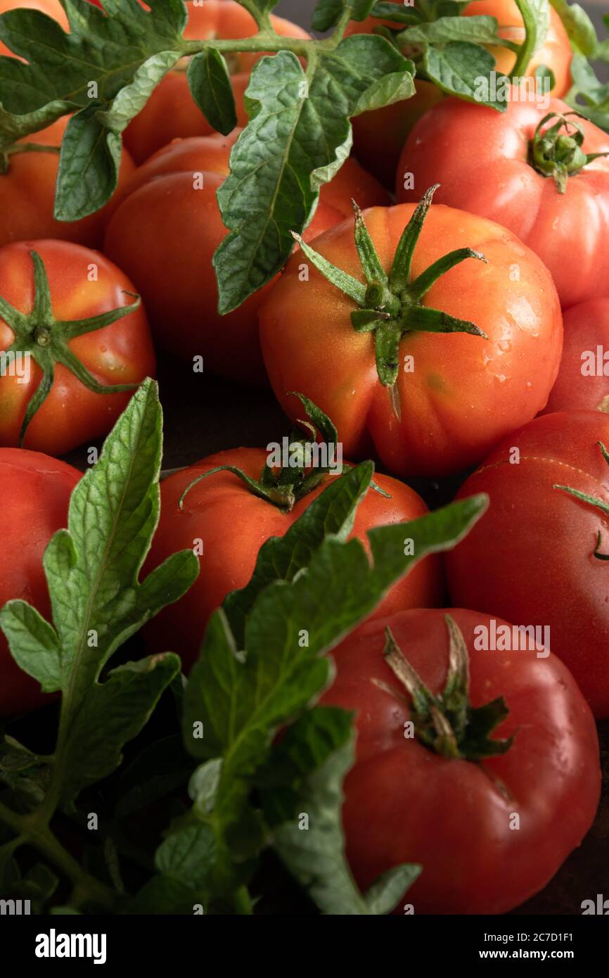 Materie giardino pomodori, ingredienti salutari per il mangiare sano Foto Stock