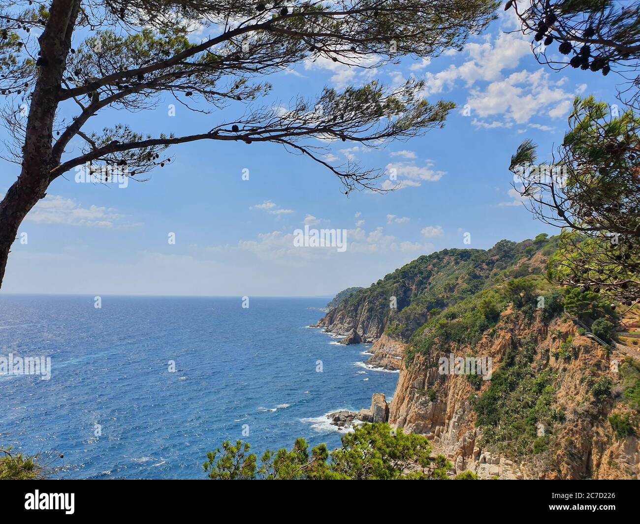 Bellissimo scatto di scogliere boschive vicino al mare sotto un cielo blu di giorno Foto Stock
