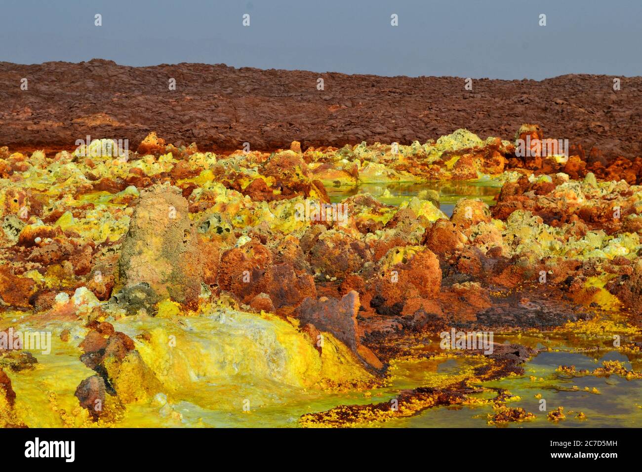 Dallol, depressione del Danakil, Etiopia Foto Stock