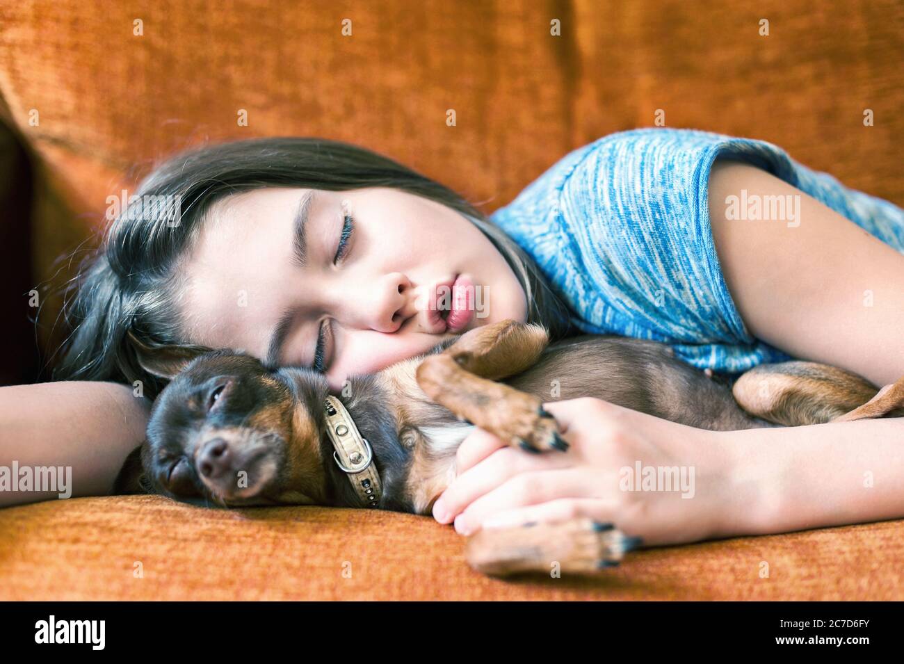 Dolce sogno. Giovane ragazza che dorme abbracciando il suo bel cane marrone Toy-terrier su un allenatore. Immagine orizzontale brillante multicolore per interni Foto Stock