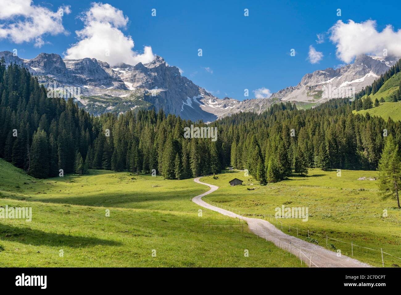 Paesaggio roccioso di montagna con le cime di Drusenfluh e tre Torri nella valle di Montafon vicino a Tschagguns, Vorarlberg, Austria Foto Stock
