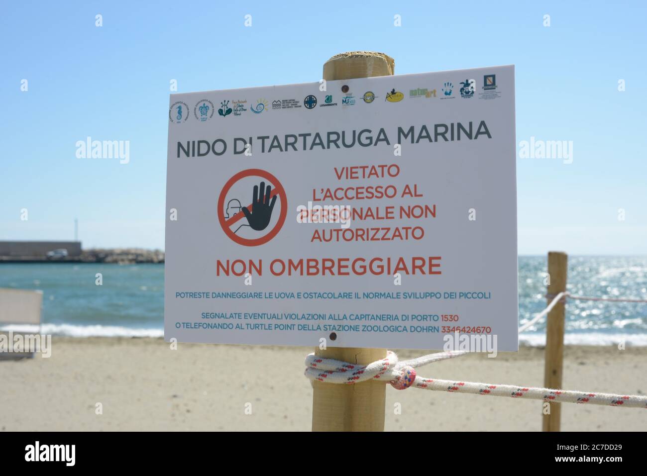 Un nido di tartarughe che si trova sulla spiaggia di Casal Velino Marina in provincia di Salerno. Foto Stock