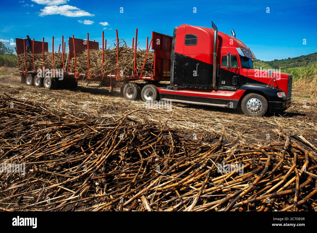 Campo di canna da zucchero e trasporto vicino a Zapotitán, la Libertad dipartimento El Salvador America Centrale. Foto Stock