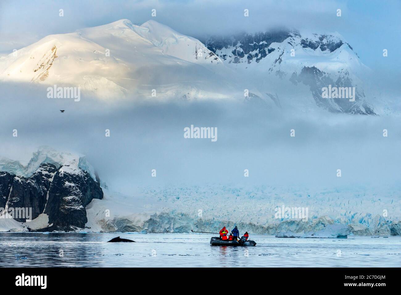 Ricerca scientifica con le balene vicino alla stazione di Almirante Brown base estiva argentina nella penisola antartica regioni polari Antartide, Antartide, Foto Stock