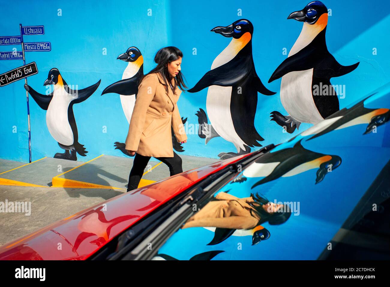 Una donna che cammina su un dipinto di un gruppo di pinguini su un muro nel centro di Ushuaia, Argentina Foto Stock
