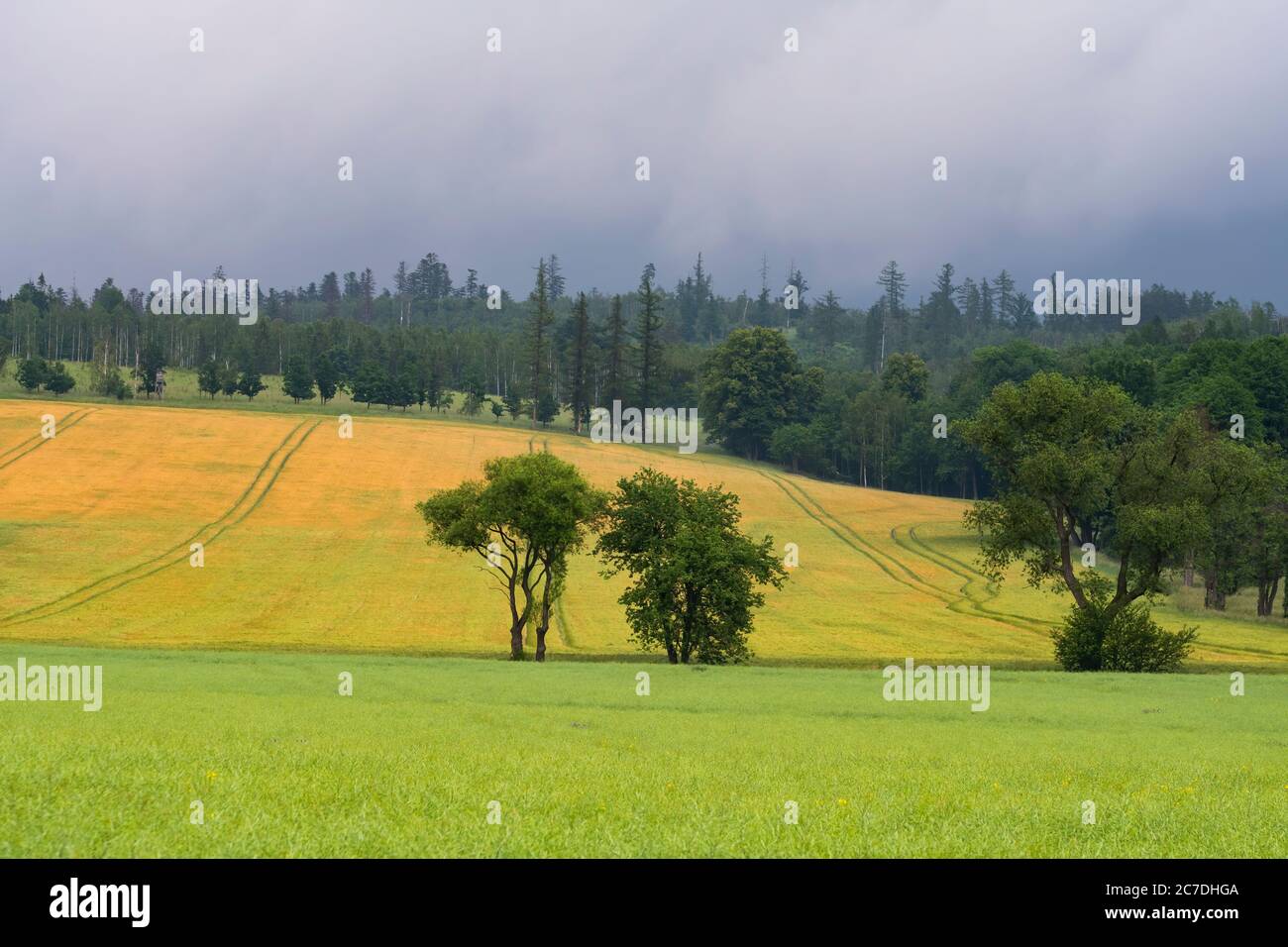 Campi coltivati e foreste prima di una grande tempesta Foto Stock
