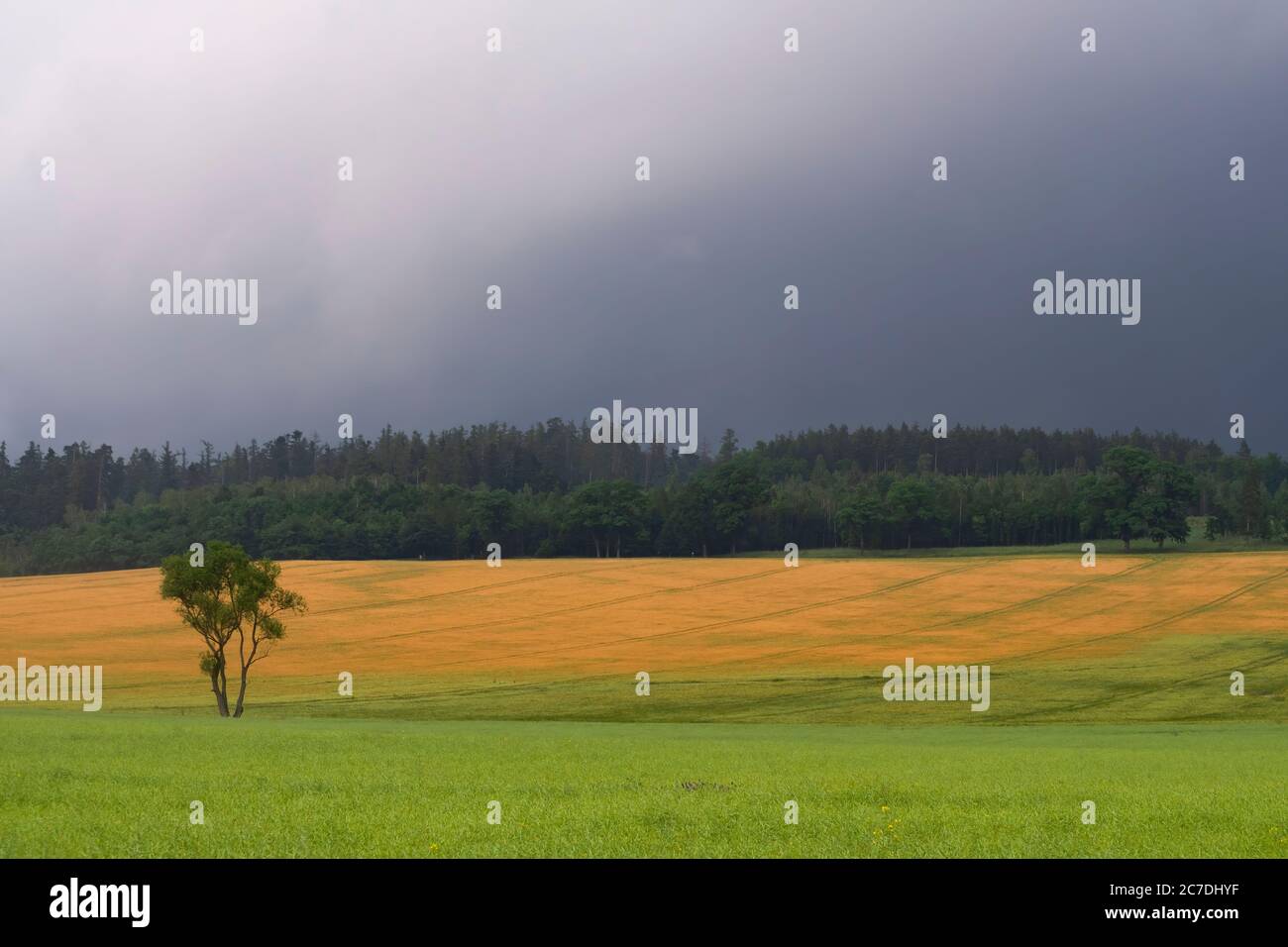 Campi coltivati e foreste prima di una grande tempesta Foto Stock