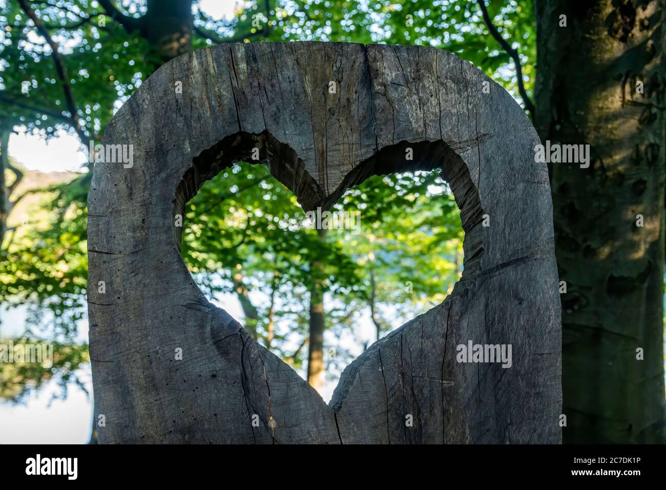 Un grande cuore tagliato in legno al lago Morske oko in inglese 'Sea Eye' (chiamato Velke Vihorlatske jazero) nei Monti Vihorlat. Slovacchia orientale, Europa Foto Stock