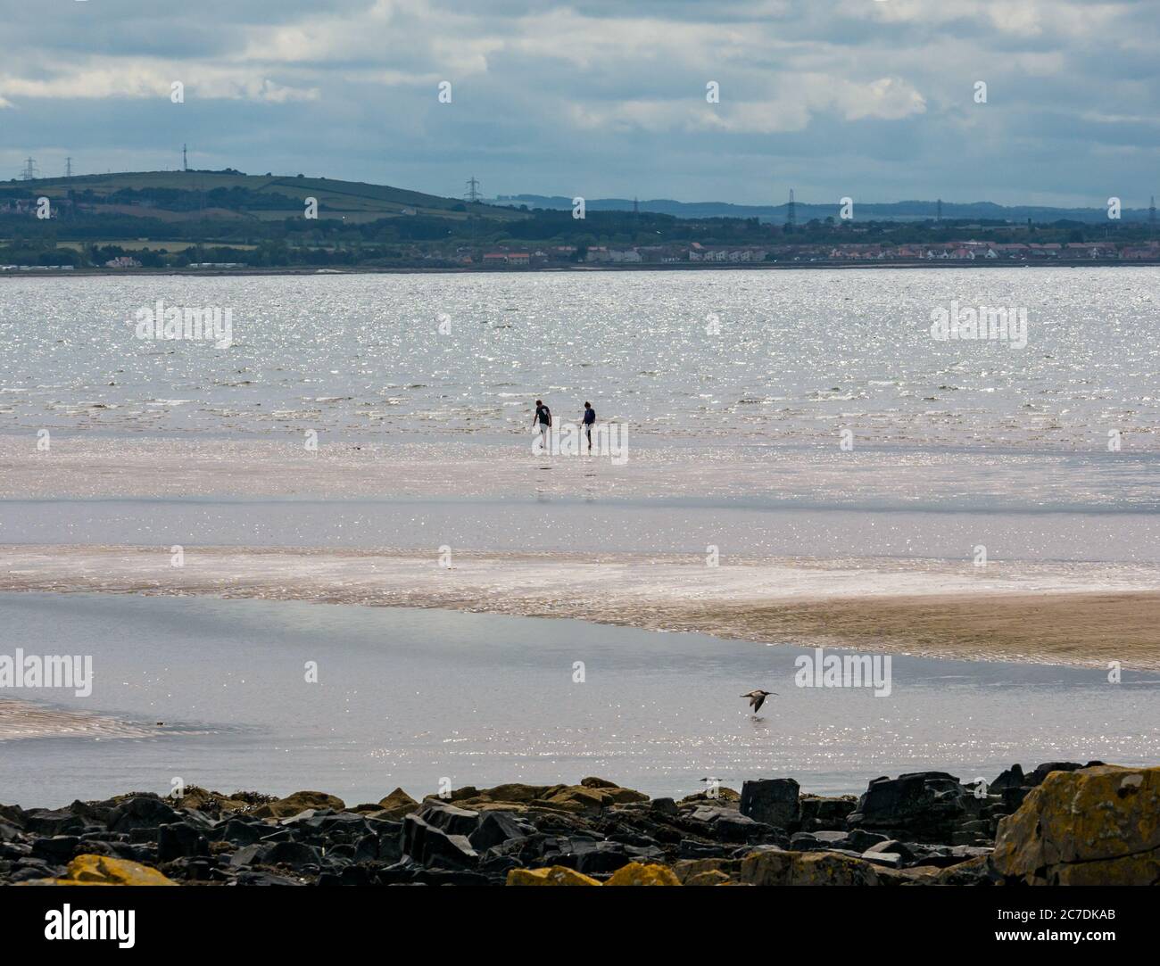 Firth of Forth, East Lothian, Scozia, Regno Unito, 16 luglio 2020. Regno Unito Meteo: Caldo sole lungo la costa del Forth. Due persone godono l'acqua fresca solo sulla spiaggia, sotto il sole frizzante, mentre la marea si rinnede Foto Stock