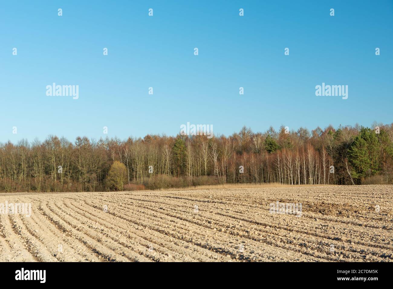 Campo arato e foresta marrone, cielo blu senza nuvole Foto Stock