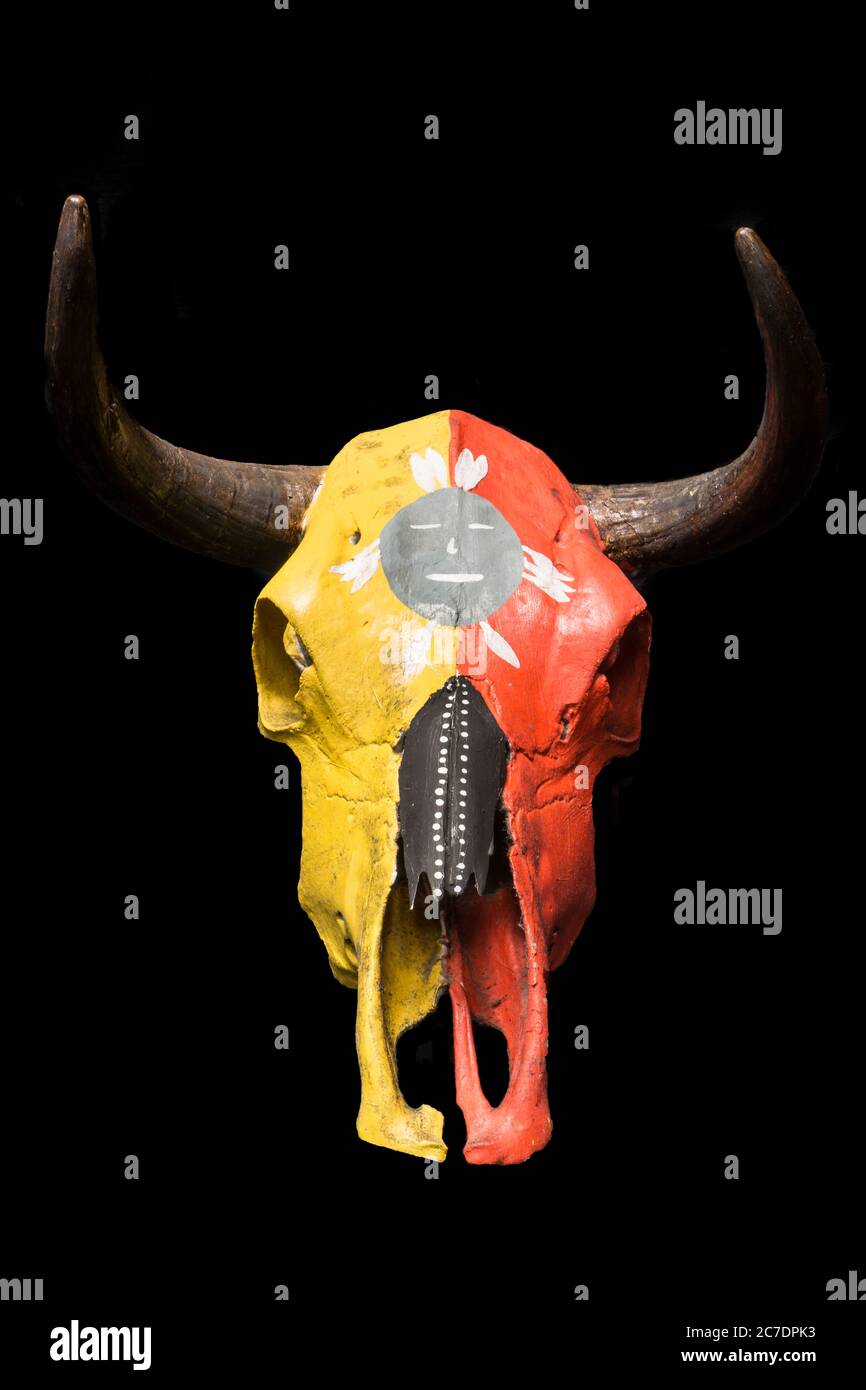 Foto di una vita morta di un cranio di mucca dipinto con un design degli Indiani d'America del sud-ovest. Foto Stock