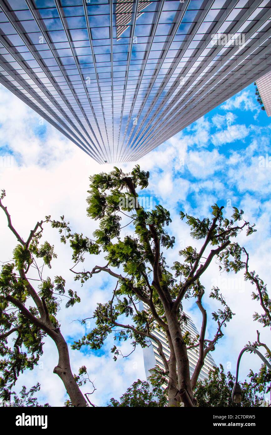 parco dei popoli, città della cina, ristorante, libreria all'interno del parco dei popoli, ristorante cinese nel parco dei popoli, singapore, libro negozio Foto Stock