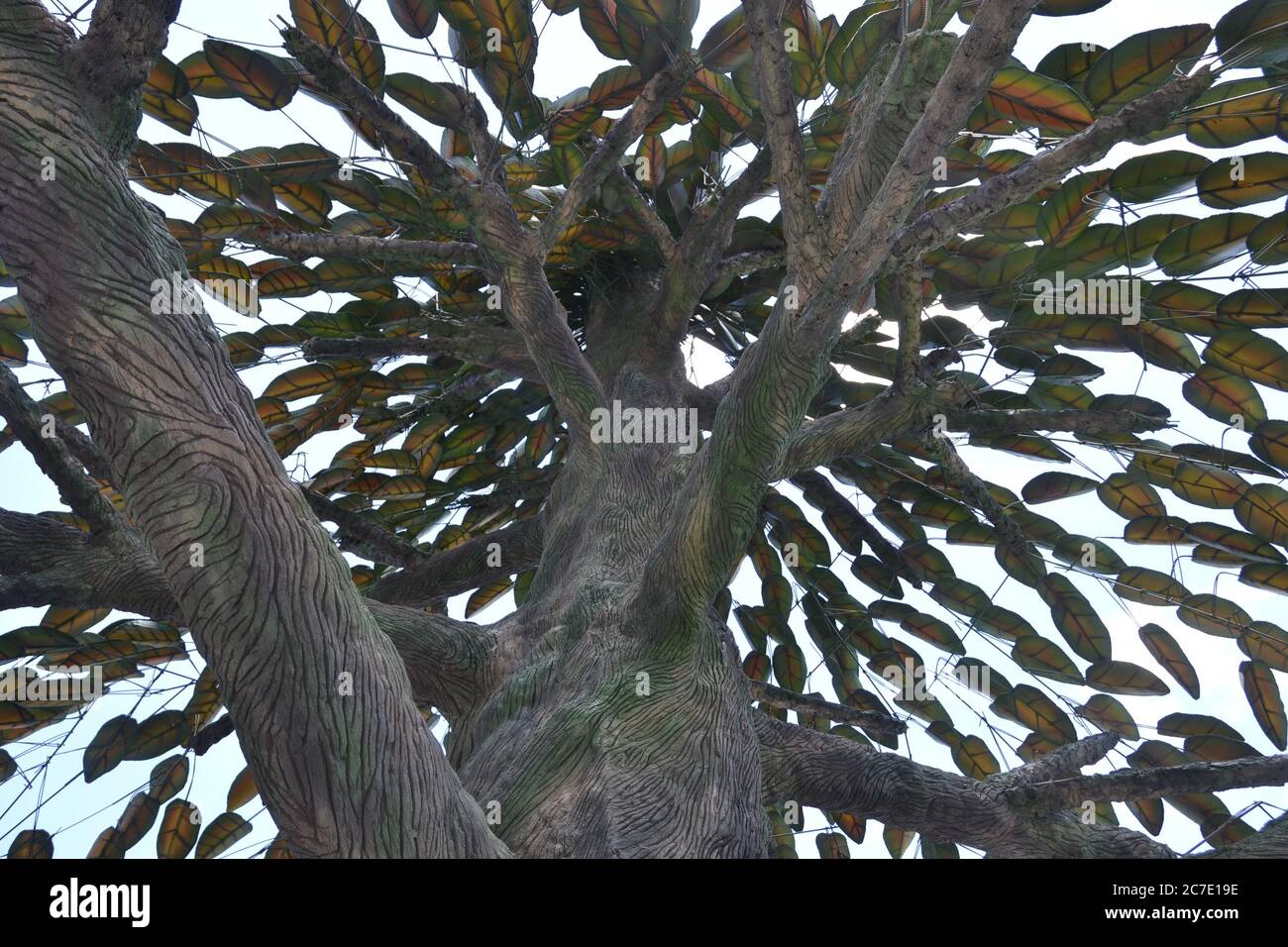 Albero di ferro e acciaio fatto a mano, con vista dal basso verso l'alto, che mostra tronchi, rami e foglie di ferro e acciaio, su una fattoria di Ecoturismo, Brasile, Sud America Foto Stock