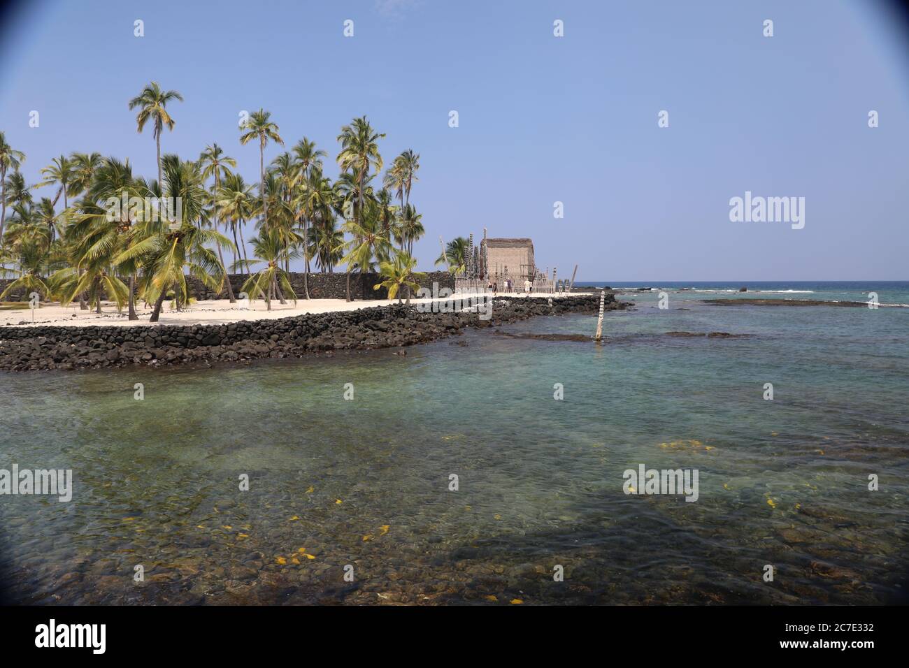 Ampio shot di palme tropicali vicino al mare sotto un cielo blu in una cornice di vignetta Foto Stock