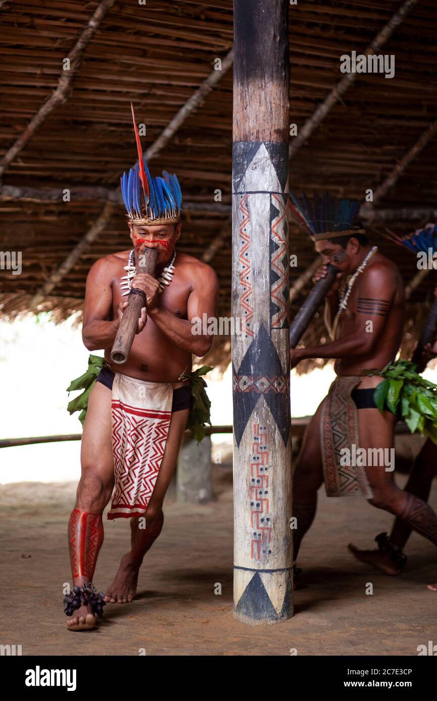 Un uomo indigeno amazzonico che indossa un copricapo piumato e una vernice per il viso suona uno strumento cerimoniale, celebrando le tradizioni culturali del Brasile Foto Stock