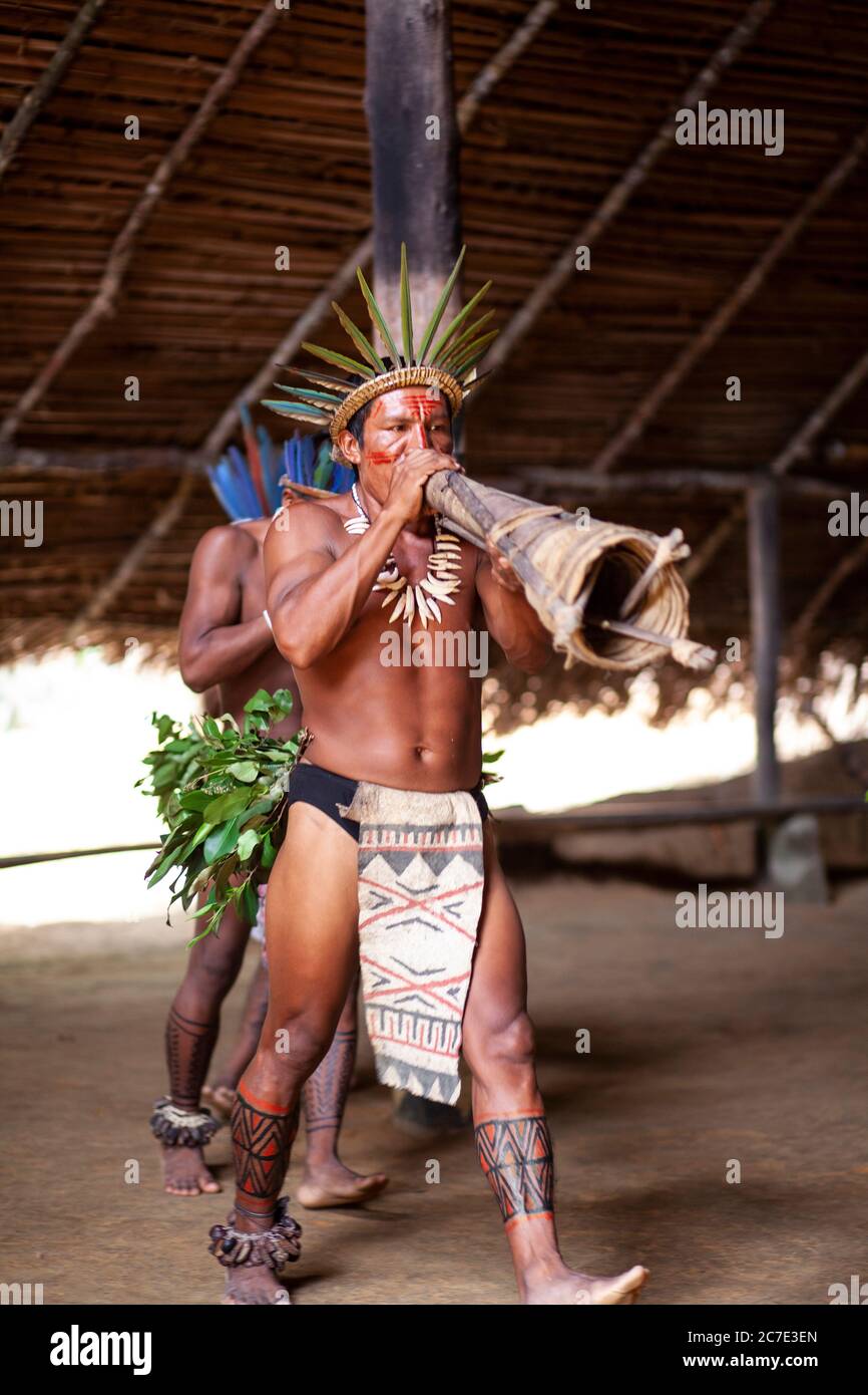 Un uomo indigeno amazzonico che indossa un copricapo piumato e una vernice per il viso suona uno strumento cerimoniale, celebrando le tradizioni culturali del Brasile Foto Stock