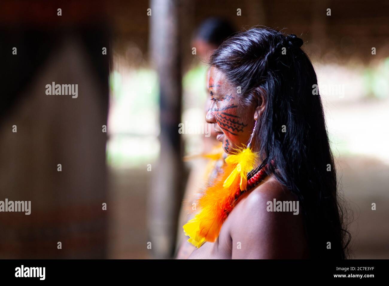 Ritratto di una donna indigena in vista laterale Foto Stock