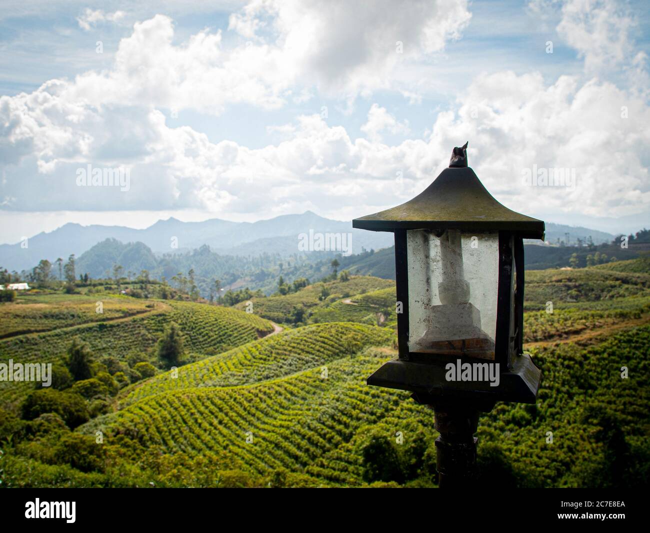 Lampadina a risparmio energetico in una tradizionale lanterna che si affaccia sulla piantagione di tè indonesiana e sulle montagne Foto Stock