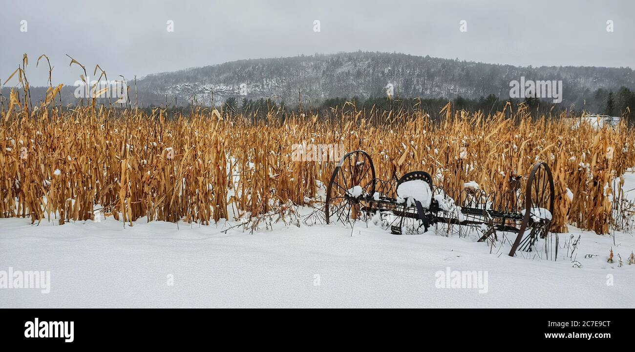 Campo di colture morte ricoperte di neve con attrezzature agricole antiche davanti Foto Stock