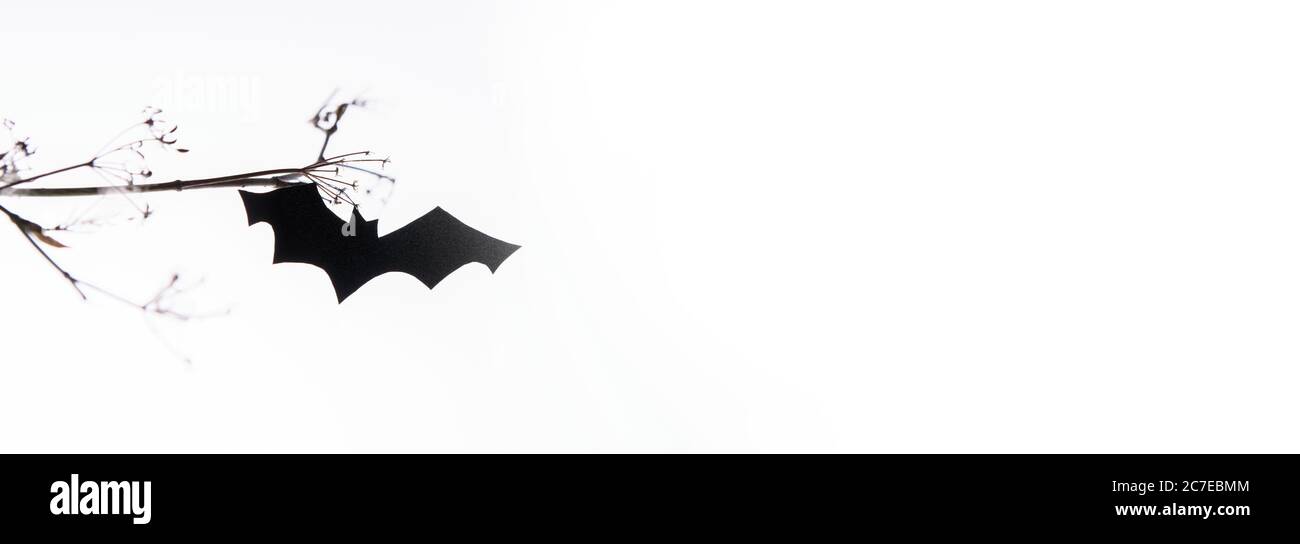 Bat di carta che si flette sotto un brunch su uno sfondo bianco. Banner Web di Halloween alla moda creativo, spazio di copia Foto Stock