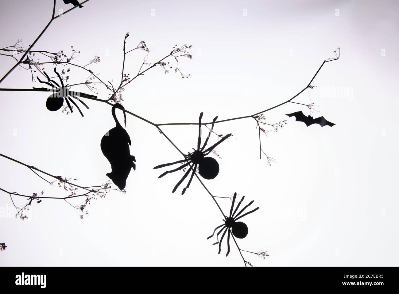 Ragni e muretto di carta nera che si arrampicano su un brunch con sagome di pipistrelli. Poster Halloween minimal, fai da te Foto stock - Alamy