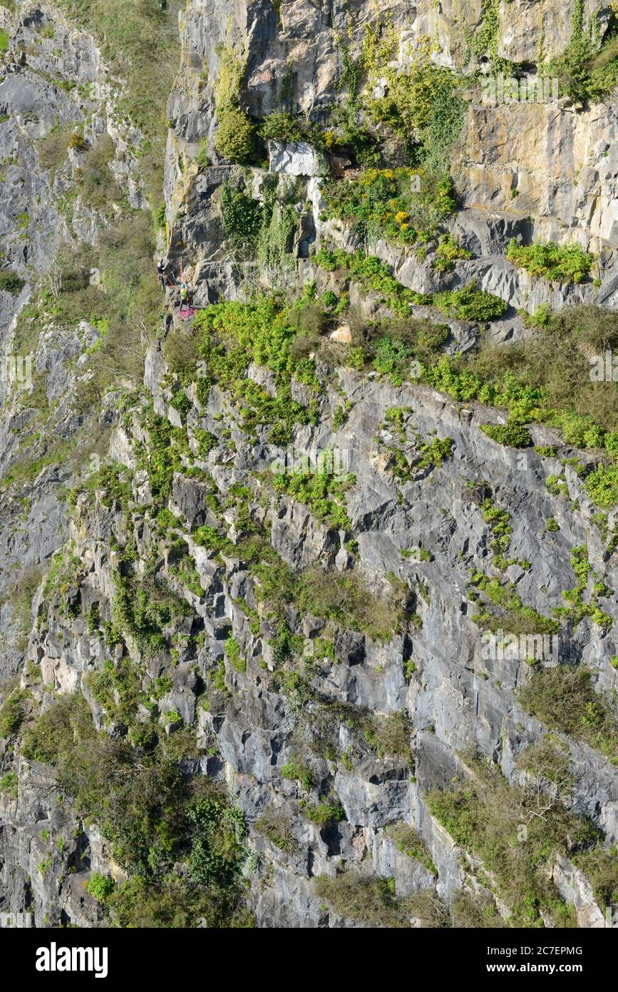 Due scalatori su una parete rocciose nella gola di Avon, Bristol, Regno Unito Foto Stock