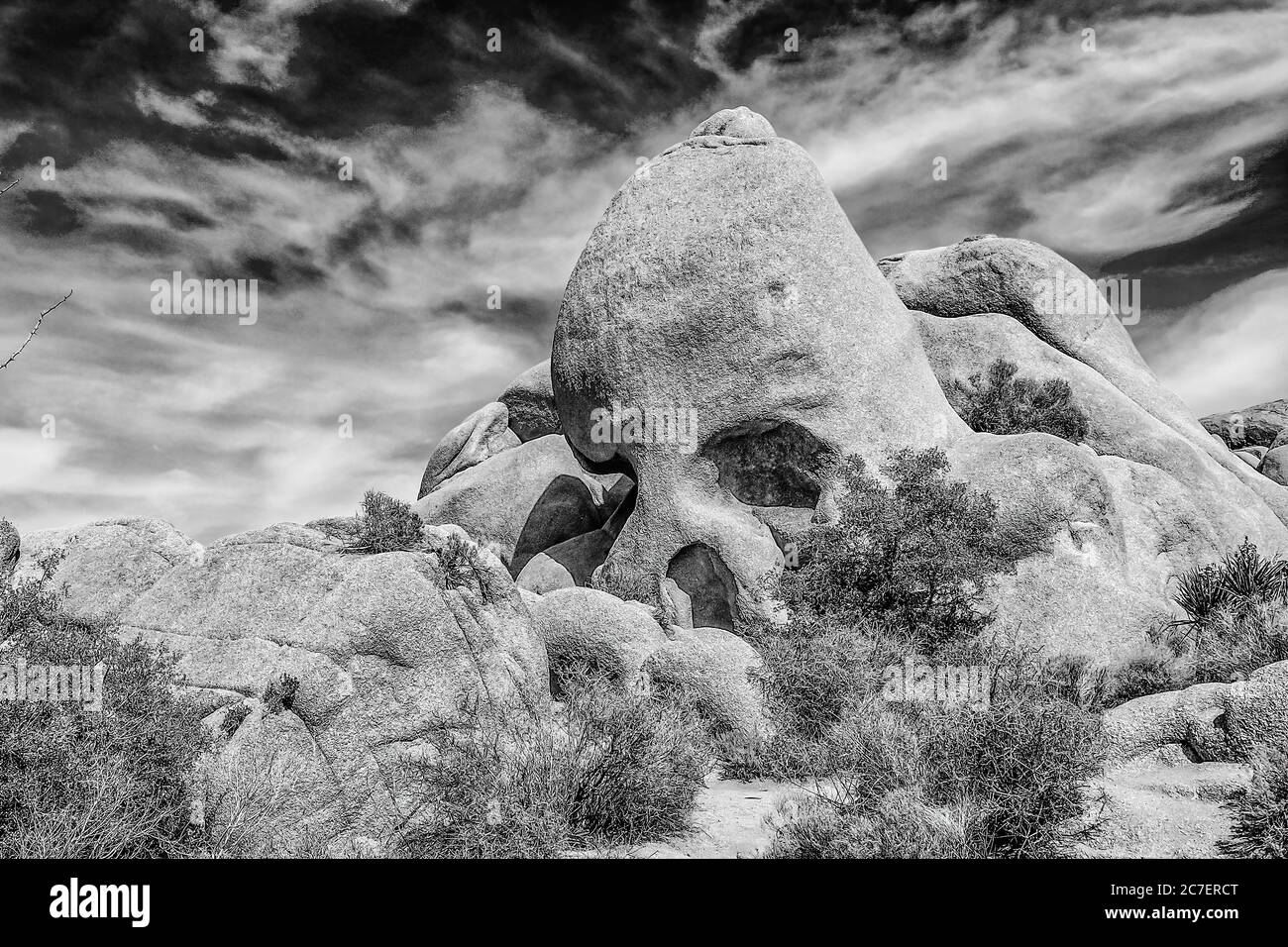 Skull Rock, Joshua Tree National Park, California, Stati Uniti. Foto Stock