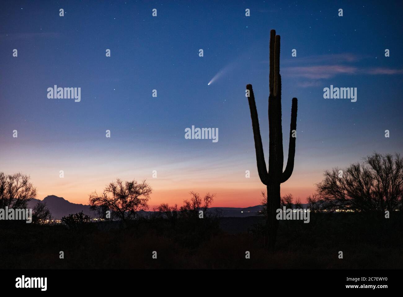 Paesaggio desertico panoramico con Comet Neowise dietro un Cactus Saguaro e cielo al tramonto vicino Phoenix, Arizona Foto Stock