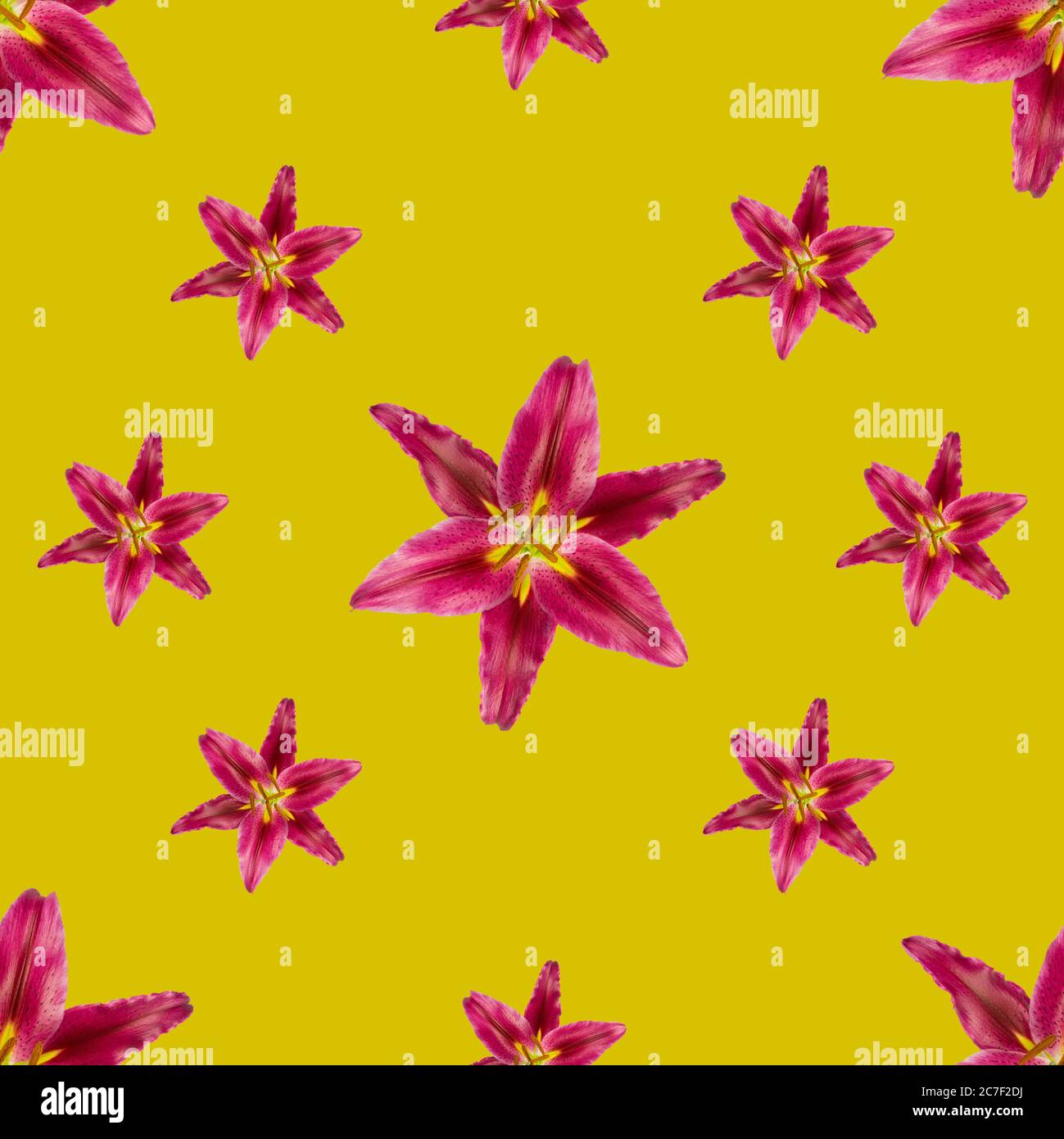 Motivo senza cuciture con gigli orientali stargazer in due misure su sfondo giallo brillante. Foto Stock
