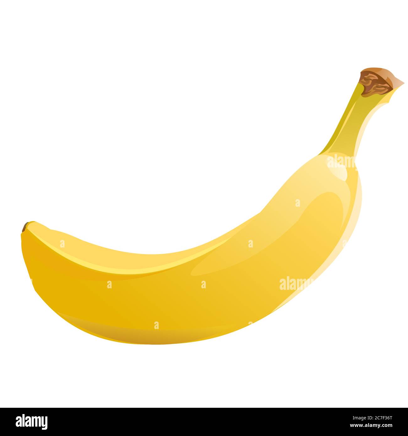 La banana è matura. Vettore. Realistico. Frutta tropicale dolce. Banana gialla matura. Esotico del sud. Frutta di palma. Oggetto isolato. Illustrazione vettoriale. Illustrazione Vettoriale